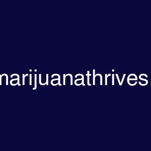 420marijuanathrives.com