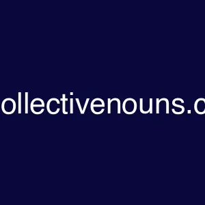 Allcollectivenouns.com