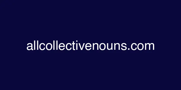 allcollectivenouns.com