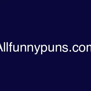 Allfunnypuns.com