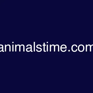 animalstime.com