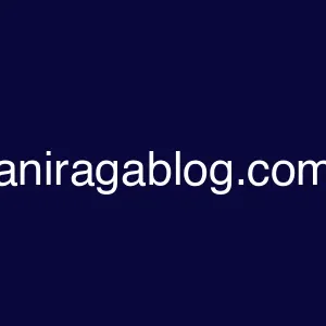 aniragablog.com