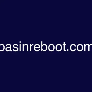 basinreboot.com