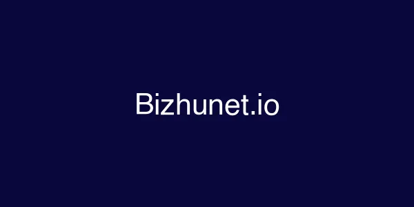 Bizhunet.io