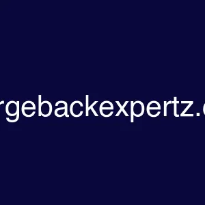 chargebackexpertz.com