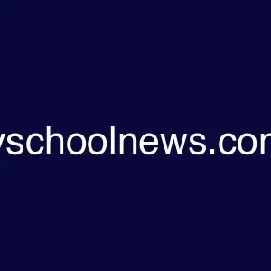 dailyschoolnews.com.ng