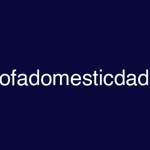 daysofadomesticdad.com