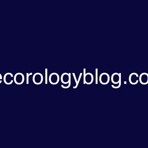 decorologyblog.com