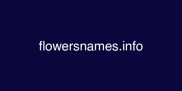 flowersnames.info