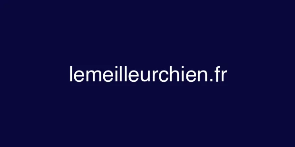 lemeilleurchien.fr