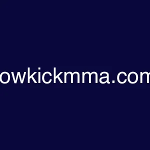 lowkickmma.com