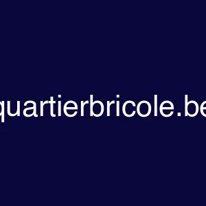 quartierbricole.be