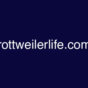 rottweilerlife.com