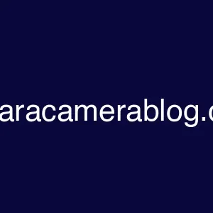 tamaracamerablog.com