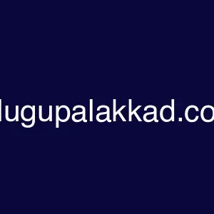 telugupalakkad.com
