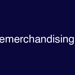 textilemerchandising.com