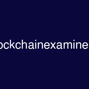 theblockchainexaminer.com