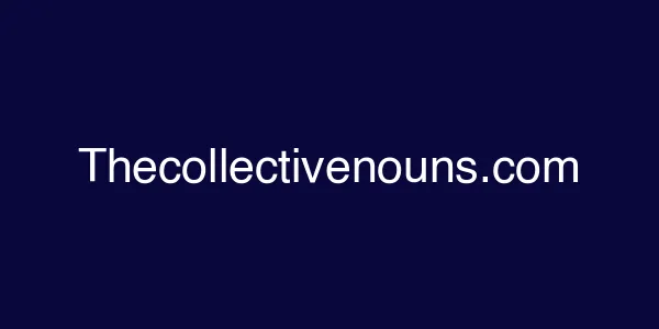 Thecollectivenouns.com