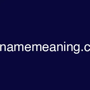 thenamemeaning.com