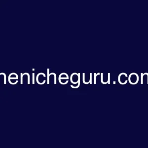 thenicheguru.com
