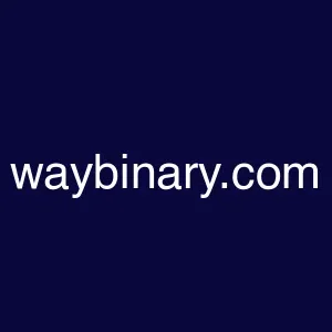 waybinary.com