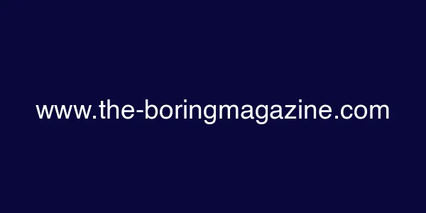 www.the-boringmagazine.com