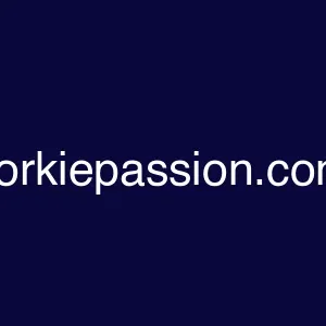 yorkiepassion.com